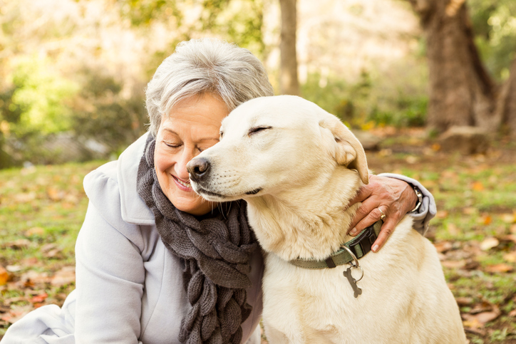 how therapy dog helps alzheimers